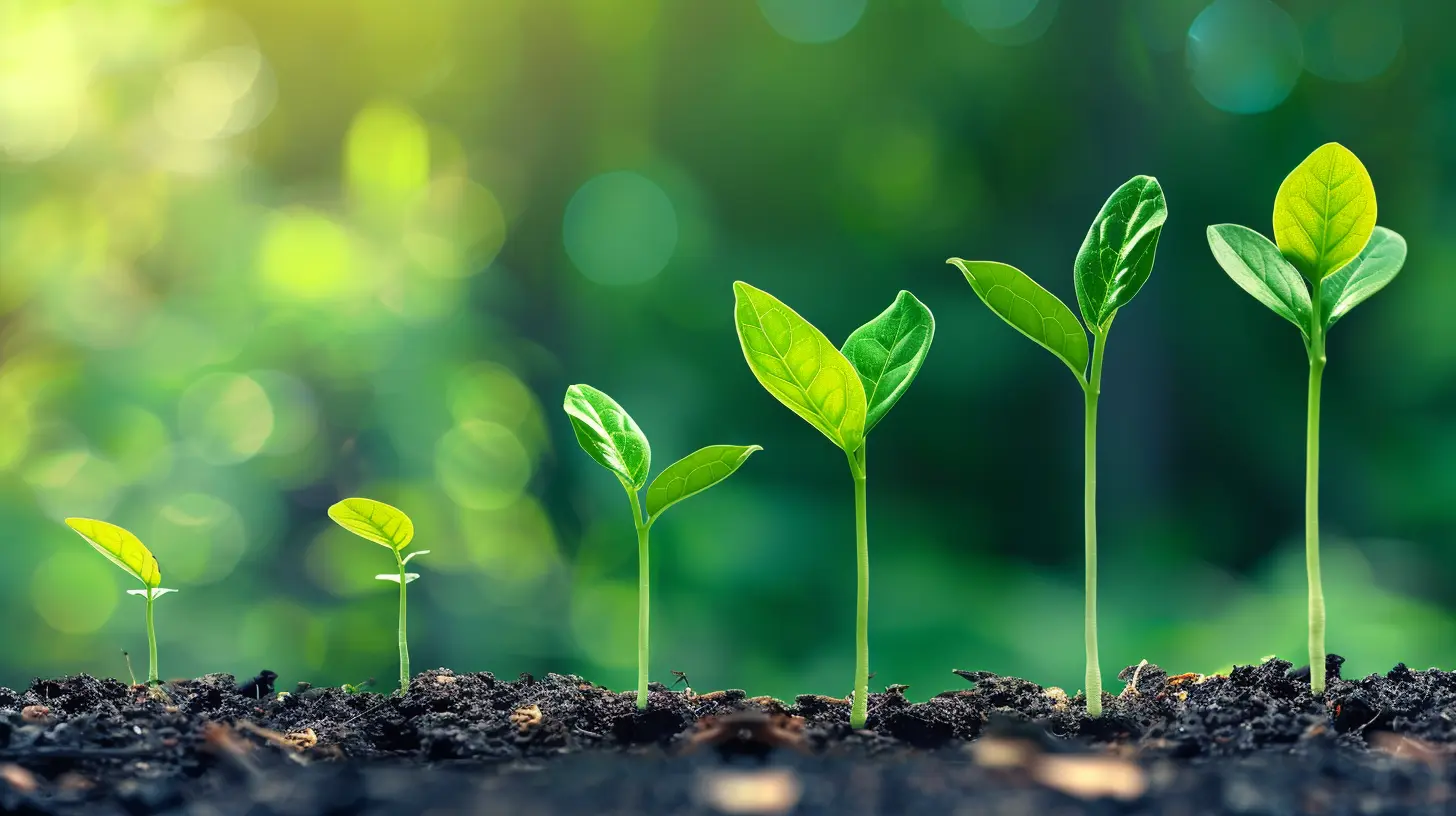 Business Growth Starts with Data-Driven Consulting