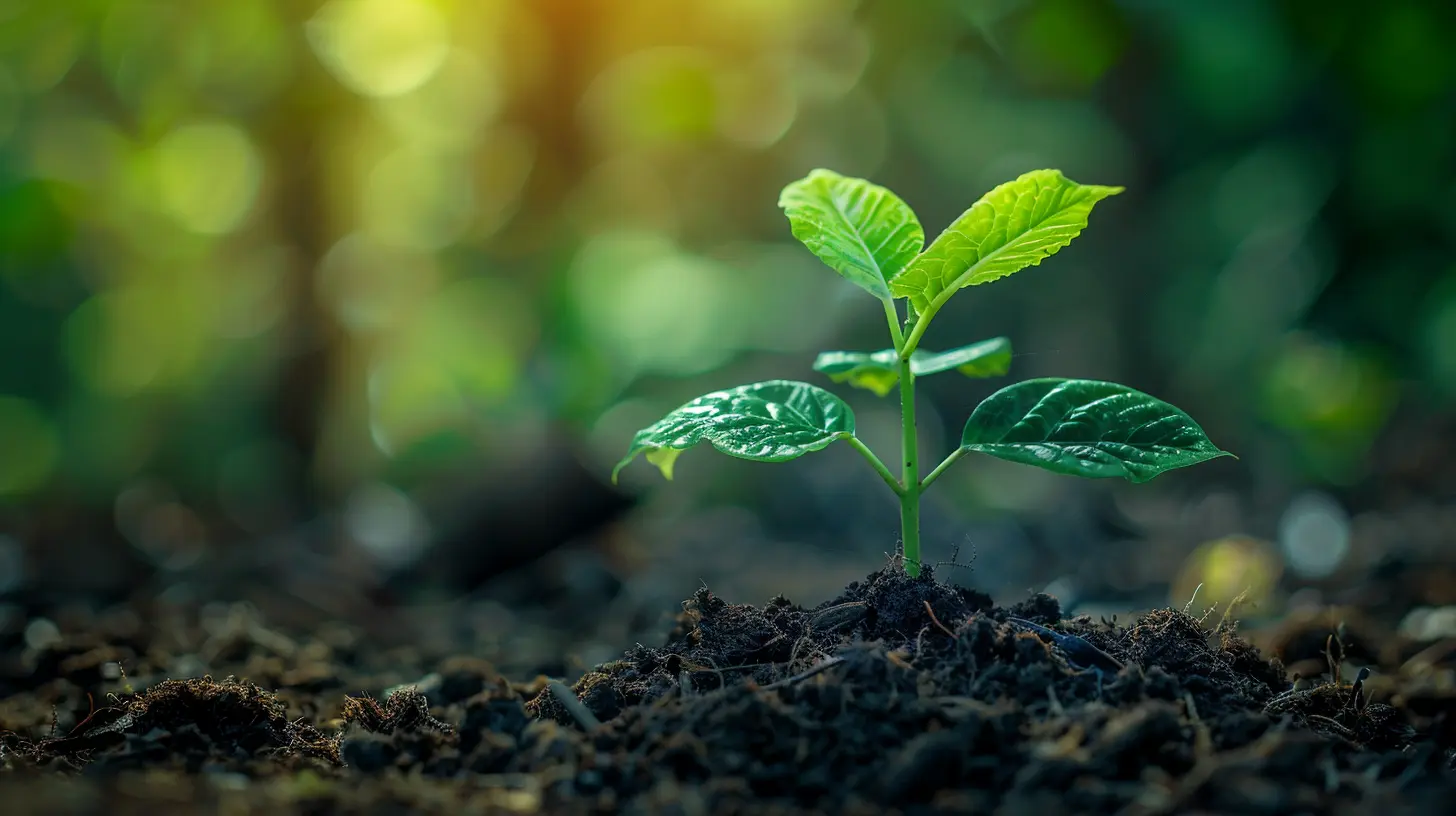 Consulting for Growth: Strategies that Work