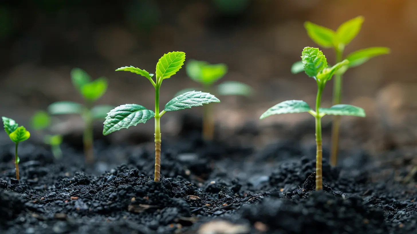 How to Foster Innovation for Continuous Business Improvement