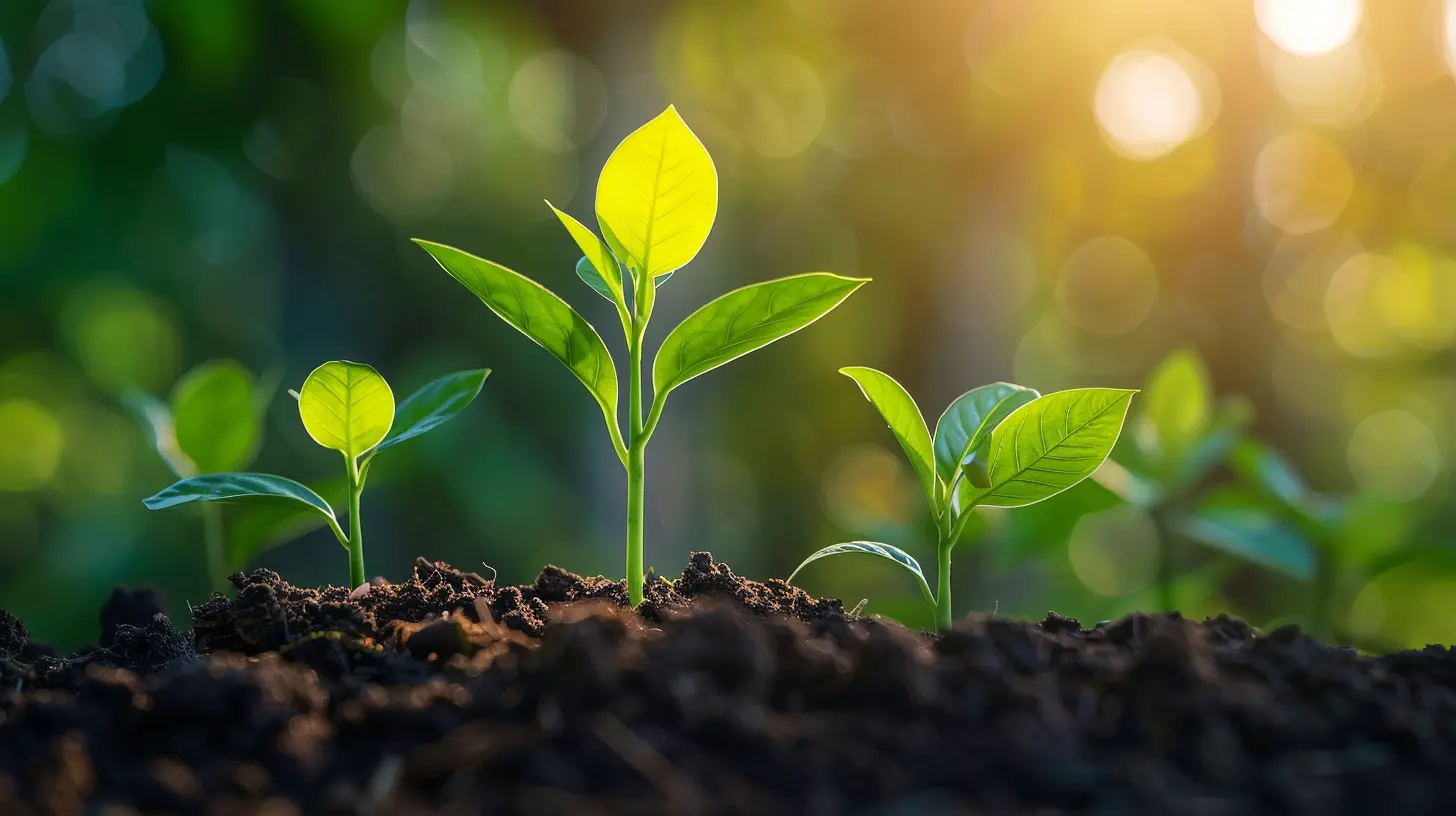 How to Nurture Leads and Increase Conversion Rates