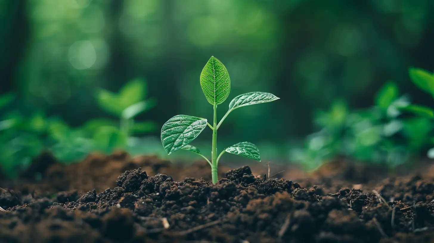 How to Nurture Leads and Increase Conversion Rates