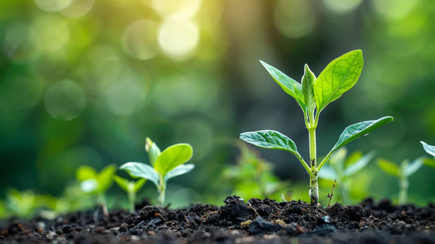 How to Turn Business Setbacks Into Growth Opportunities