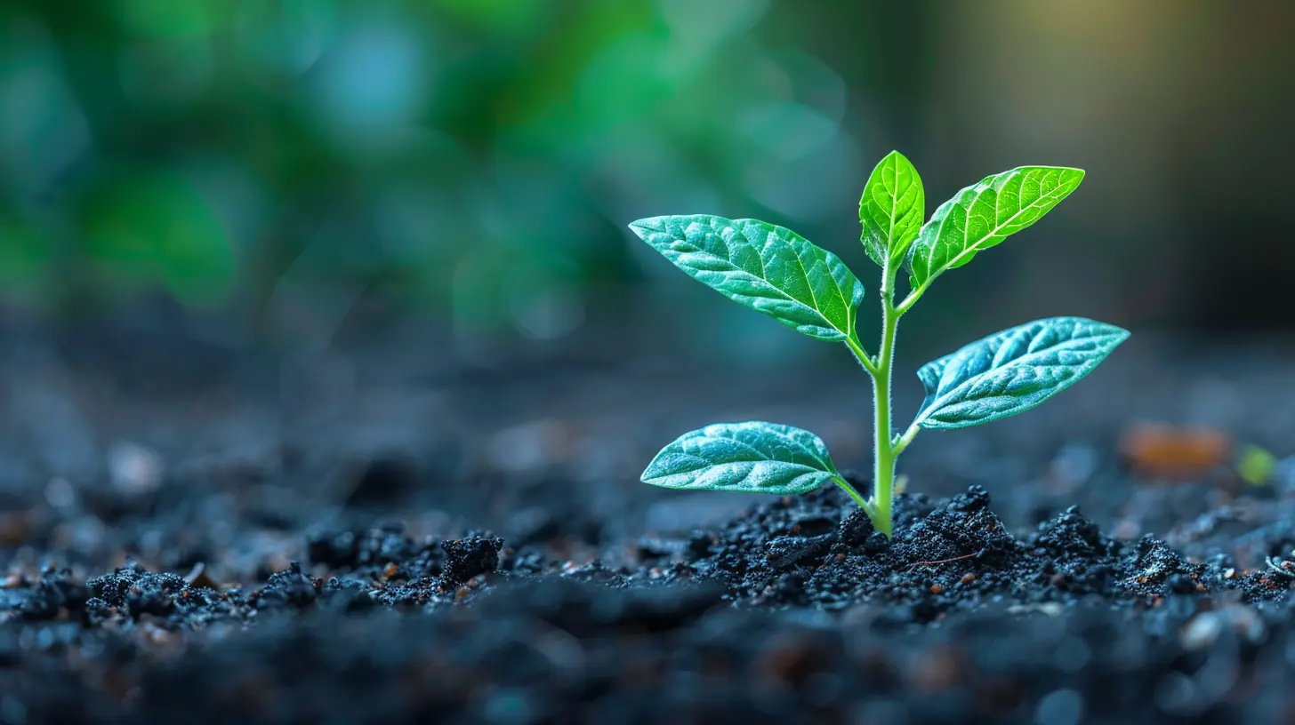 Prioritizing Customer Experience to Achieve Sustainable Growth