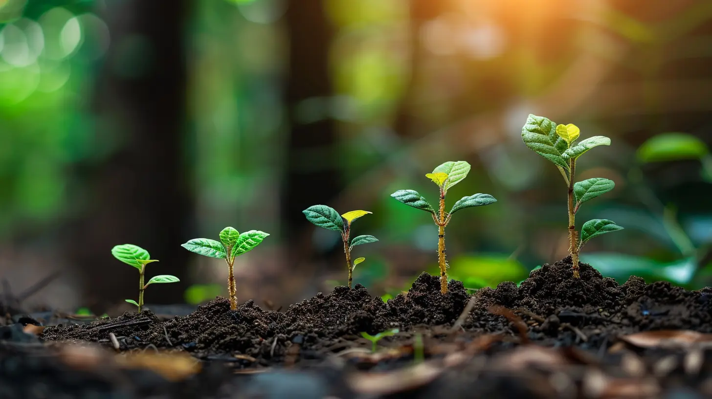 Reaching the Next Level: Scaling Your Business Organically