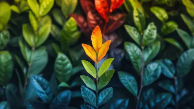 Accelerate Digital Transformation with Business Consulting Expertise