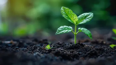 Building a Scalable Start-Up from the Ground Up