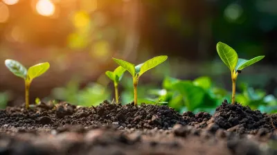 Building a Scalable Start-Up from the Ground Up