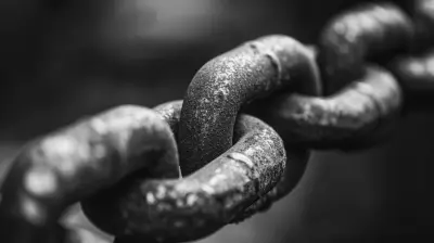 Eliminating Fraud in Business with Blockchain Verification