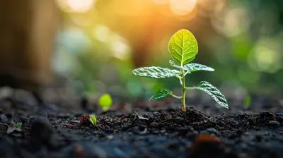 How to Nurture Leads and Increase Conversion Rates