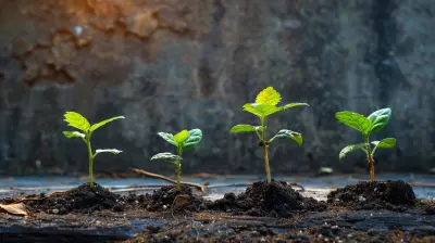 How to Turn Business Setbacks Into Growth Opportunities