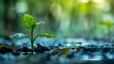 How to Turn Cash Flow Problems into Profit Opportunities