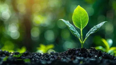 Leveraging Social Media To Cultivate Engagement And Expand Your Market