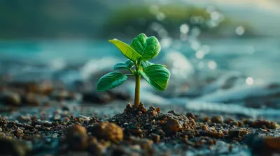 Mastering Cash Flow Management for Sustainable Business Growth