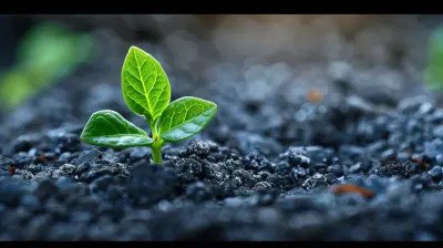 Prioritizing Customer Experience to Achieve Sustainable Growth