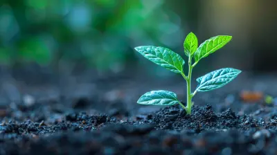 Prioritizing Customer Experience to Achieve Sustainable Growth