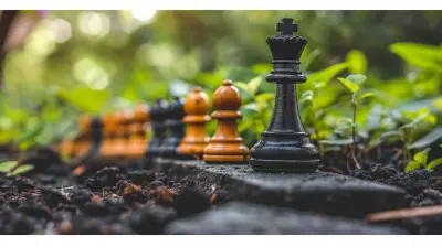 Understanding the Competition to Seize Growth Opportunities