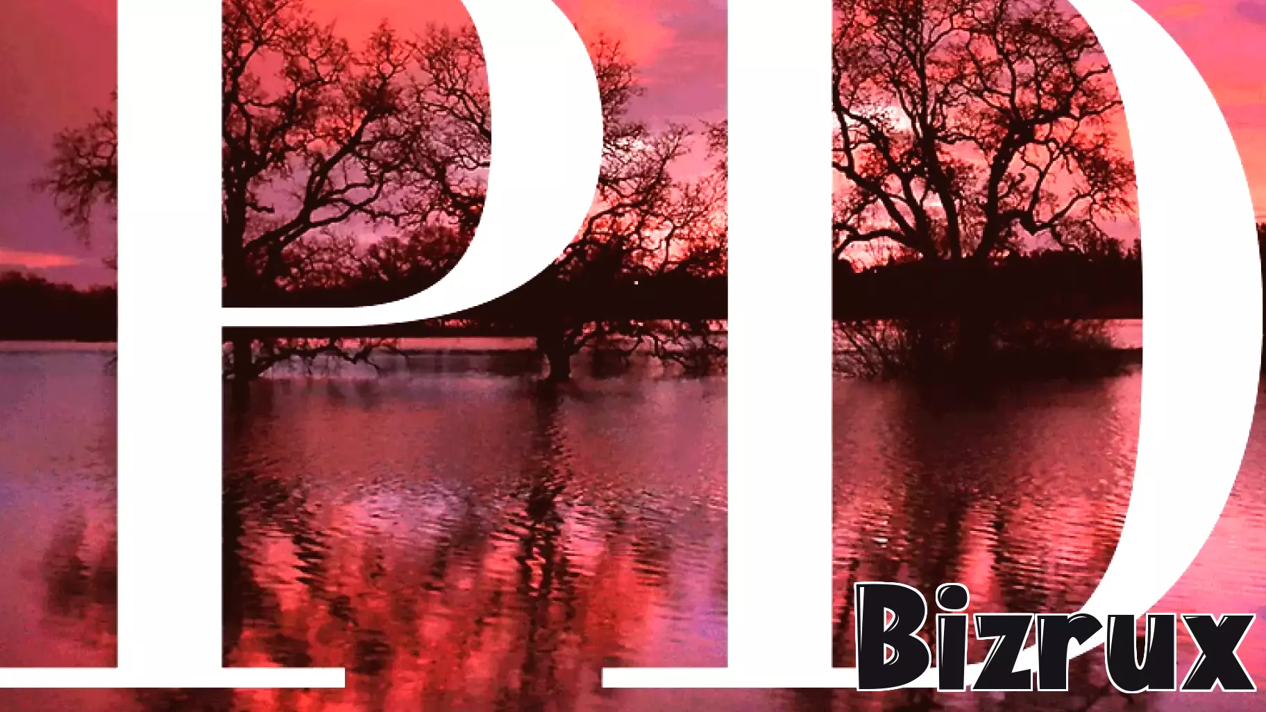 Celebrating Over Three Decades of Business Reporting in Northern California