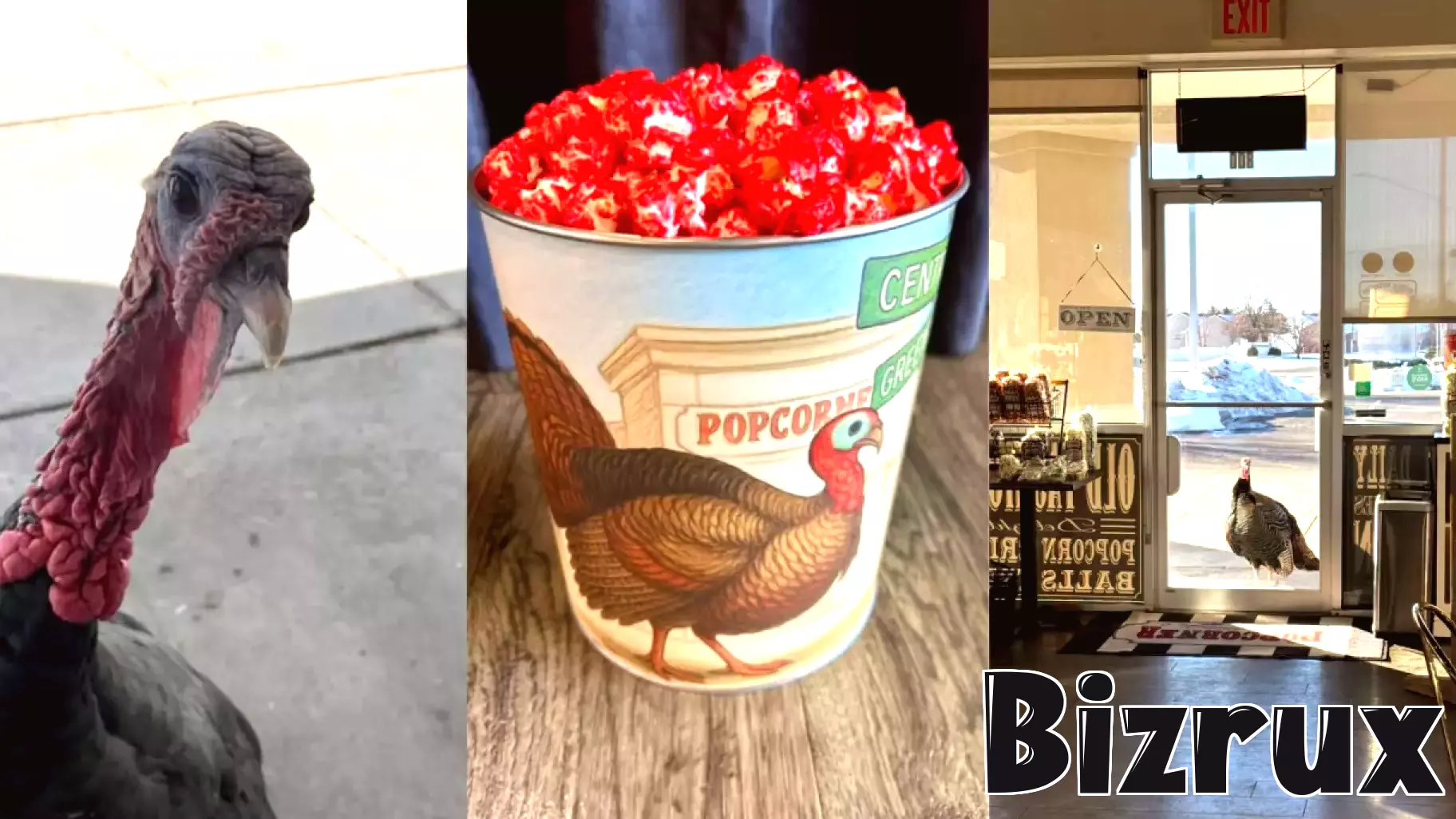 Local Business Launches Popcorn Tin Inspired by Beloved Turkey