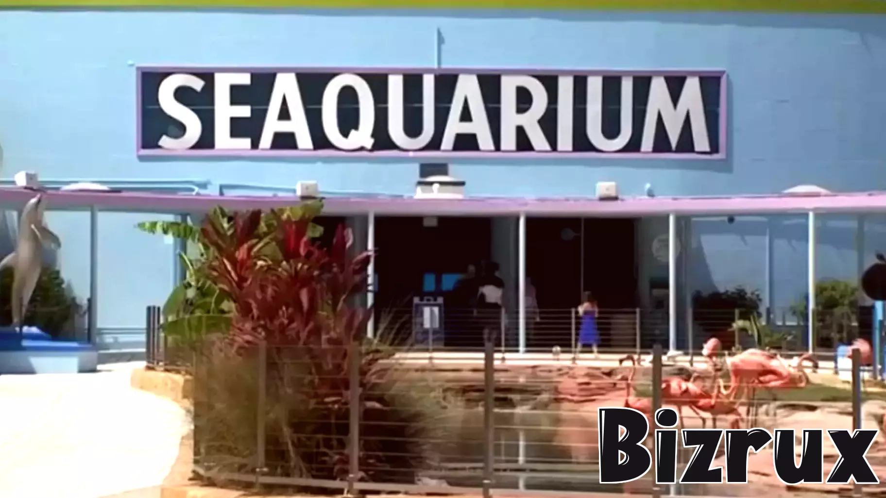 Miami Seaquarium Shuts Down After Seven Decades of Operation