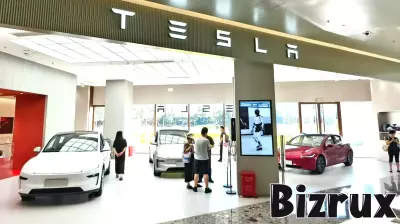 Chinese Consumers React to Elon Musk's Budget Tesla Models