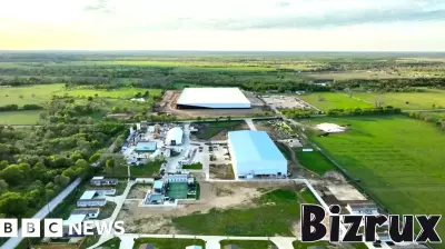 Elon Musk's New Texas Headquarters: A Community's Perspective