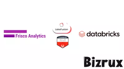 Frisco Analytics Teams Up with Databricks to Enhance Data Management Solutions